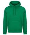 JH501 AWDis Unisex College Hoodie 2.0 Kelly Green colour image